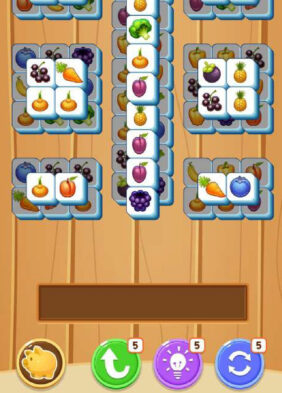 Pair Match Puzzles